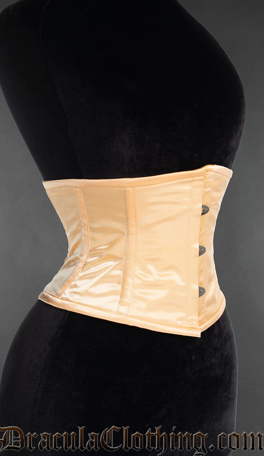Skin Satin Waist Cincher - Image 3