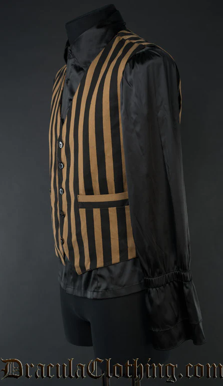 Steampunk Striped Vest - Image 3